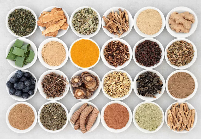 The Power of Adaptogens: Natural Allies for Hormonal Balance and Vitality