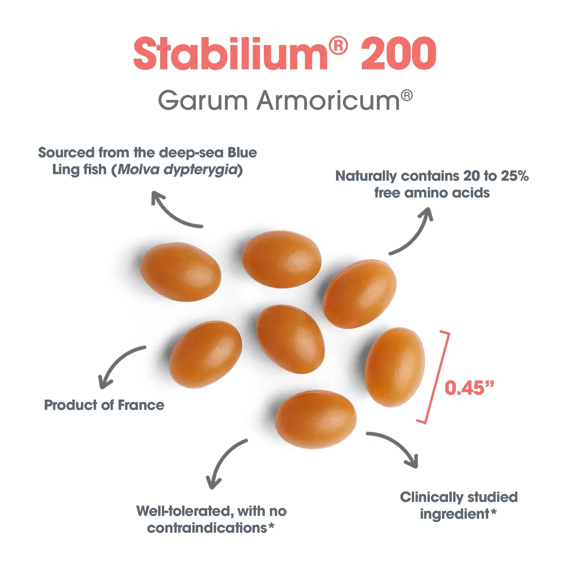 Stabilium® 200 Garum Armoricum®