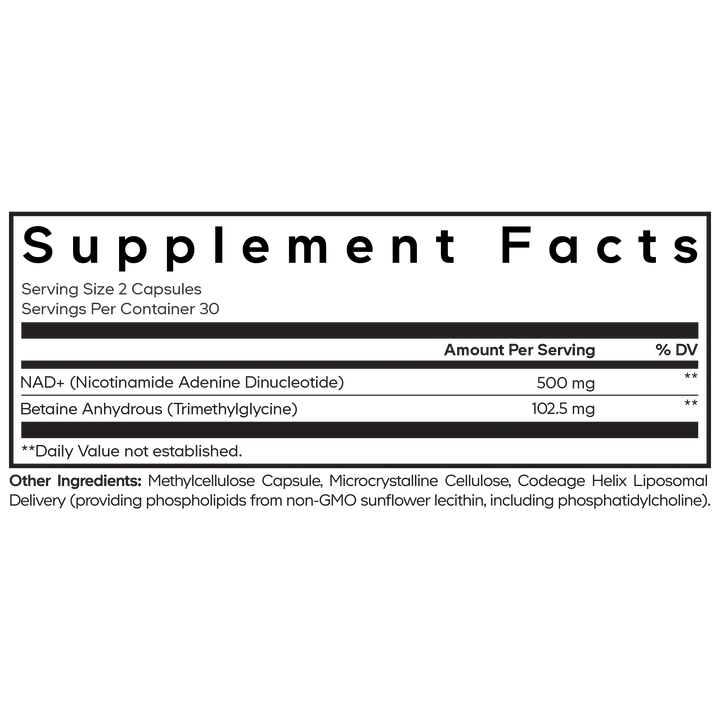 Liposomal NAD+